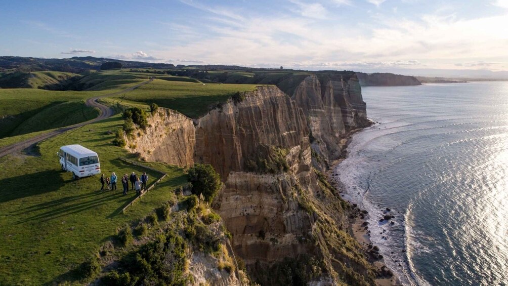 Picture 1 for Activity Cape Kidnappers Gannet Colony Private Tour