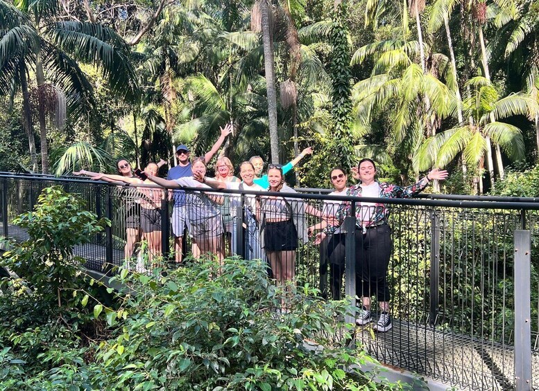 Picture 9 for Activity Brisbane: Springbrook and Mt Tamborine Glow Worm and Skywalk