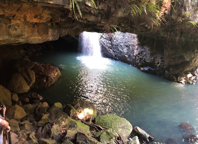 Brisbane: Springbrook and Mt Tamborine Rainforest Day Tour