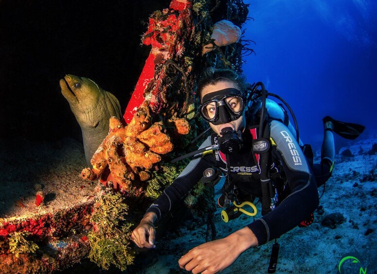 Picture 5 for Activity Reef Diving in Playa del Carmen