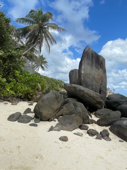 Picture 12 for Activity Mahe Island: Private Mahe Full Day Island Tour