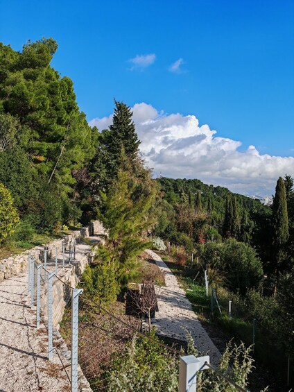 Secret Marjan Park Hiking Tour in Split