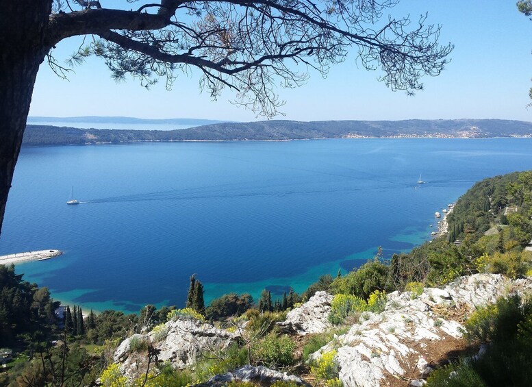 Picture 2 for Activity Secret Marjan Park Hiking Tour in Split