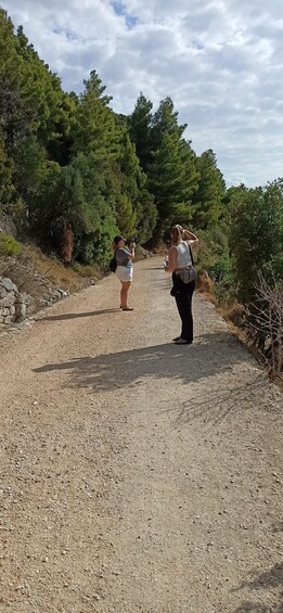 Picture 6 for Activity Secret Marjan Park Hiking Tour in Split