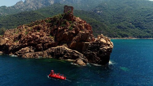 Porto : Découverte de la faune et de la flore marine/Baie de Porto