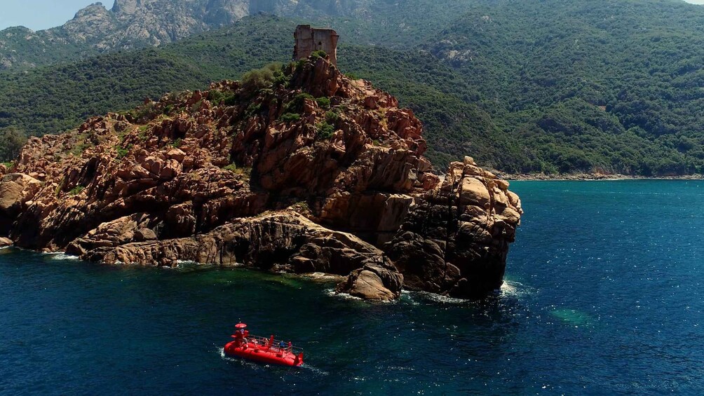 Picture 1 for Activity Porto : Discovery of the marine fauna and flora/Bay of Porto