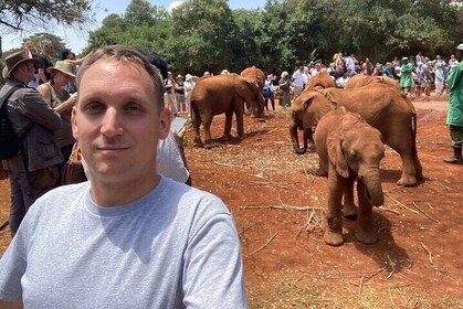 Besöka Nairobi Elephant Orphanage rundturer och biljetter