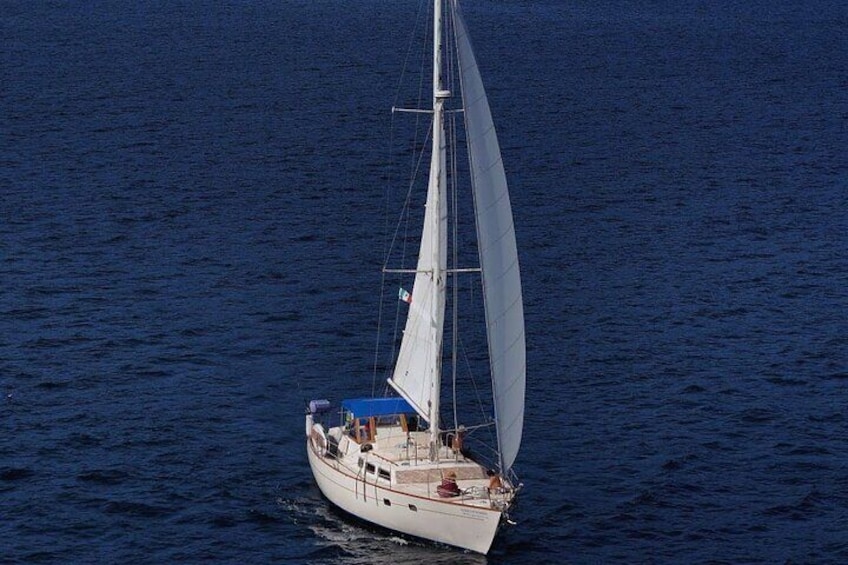 Half Day Private Sailing Cruise Puerto Vallarta with Snorkeling