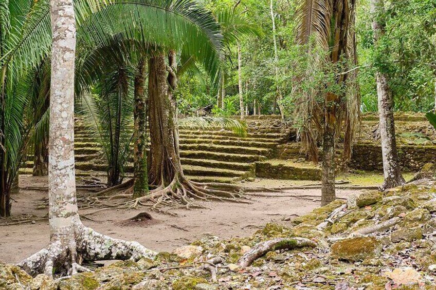 Private Half Day Tour to Chacchoben Beach and Mayan Ruins