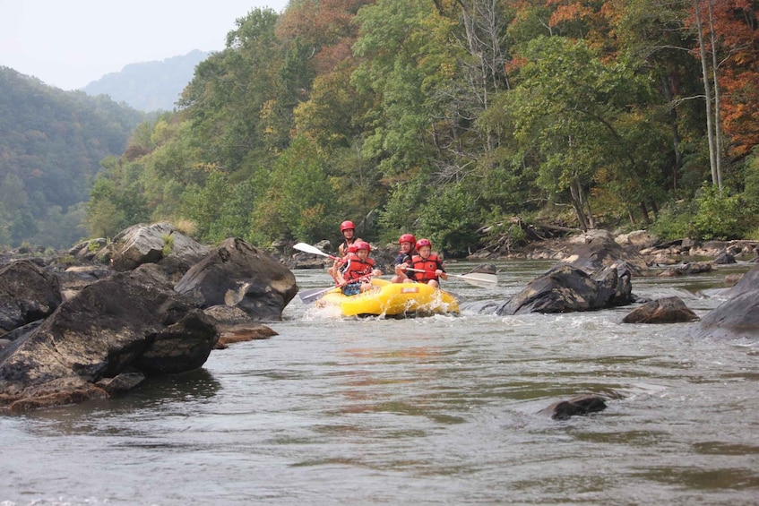 Picture 2 for Activity Marshall: French Broad Whitewater River Rafting Experience