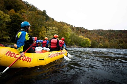 Marshall: French Broad Whitewater River Rafting Erlebnis