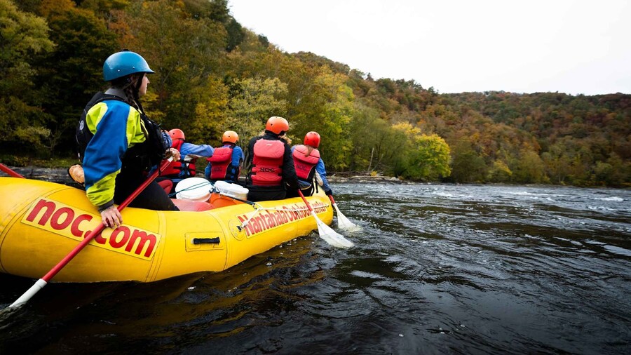 Marshall: French Broad Whitewater River Rafting Experience