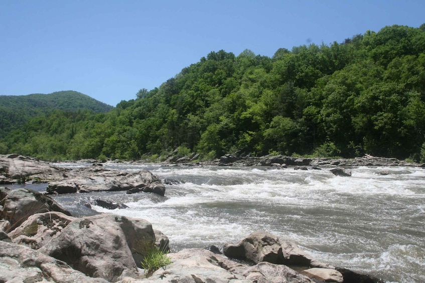 Picture 3 for Activity Marshall: French Broad Whitewater River Rafting Experience
