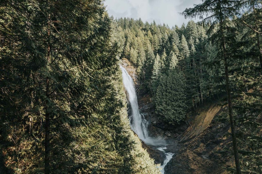 Seattle: Waterfall Wonderland Hike in Wallace Falls Park