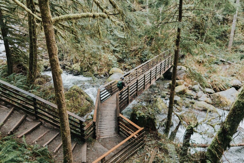 Picture 2 for Activity Seattle: Waterfall Wonderland Hike in Wallace Falls Park