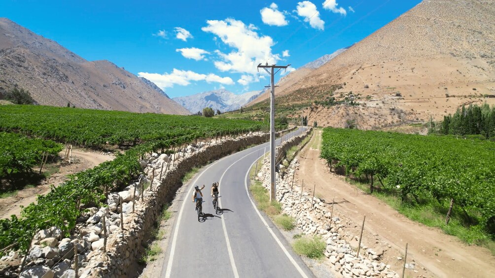 Picture 8 for Activity Elqui Valley: Bike Tour