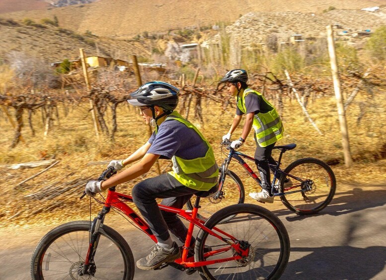 Picture 7 for Activity Elqui Valley: Bike Tour