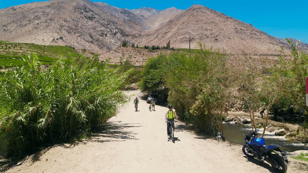 Picture 7 for Activity Elqui Valley: Bike Tour