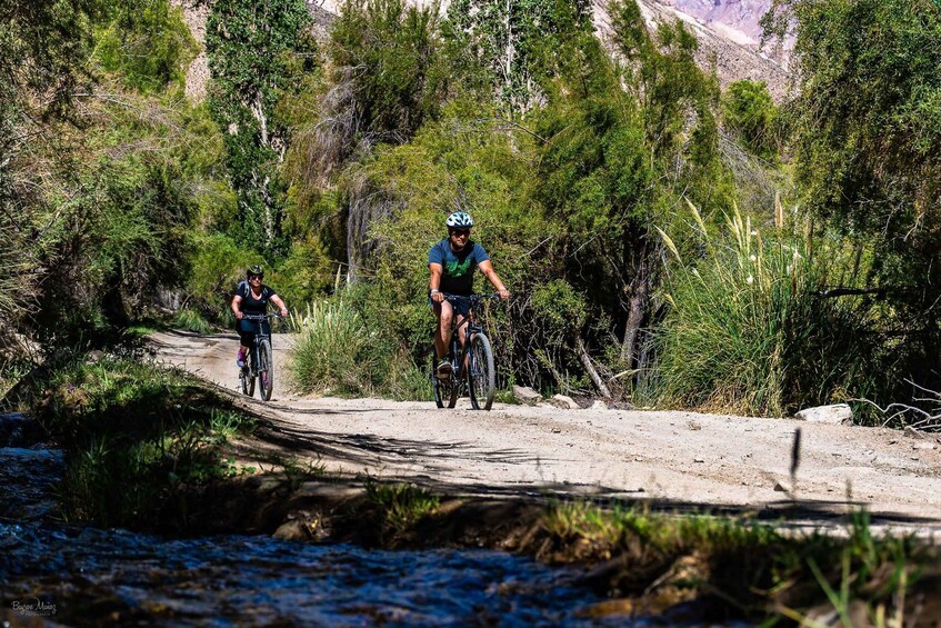 Picture 8 for Activity Elqui Valley: Bike Tour