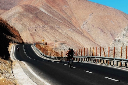 Elqui Valley: Bike Tour