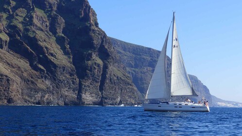 Tenerife: crucero de avistamiento de ballenas por Los Gigantes en velero