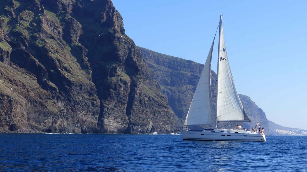 Tenerife: Los Gigantes Whale Watching Cruise by Sail Boat