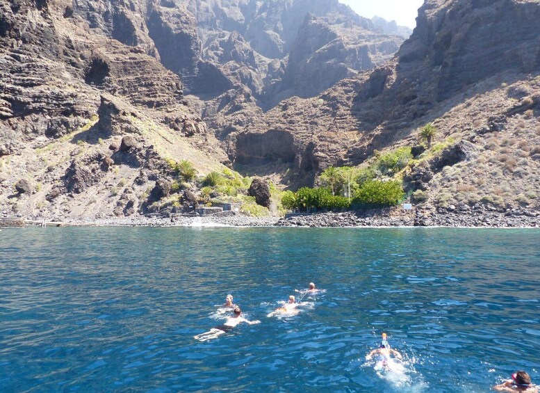 Picture 3 for Activity Tenerife: Los Gigantes Whale Watching Cruise by Sail Boat