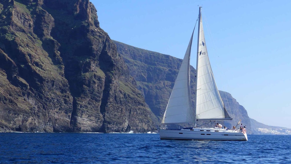 Tenerife: Los Gigantes Whale Watching Cruise by Sail Boat