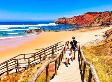 Desde Lagos: Excursión de un día por la salvaje y maravillosa Costa Oeste