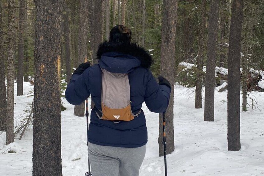 Frozen Waterfall Snowshoe Tour Estes Park