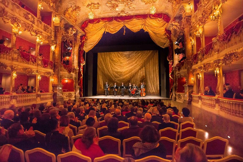 Picture 4 for Activity Munich: Gala Concert in the Cuvilliés Theatre
