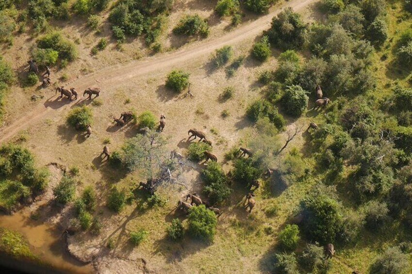 Helicopter Scenic Flight over Victoria Falls