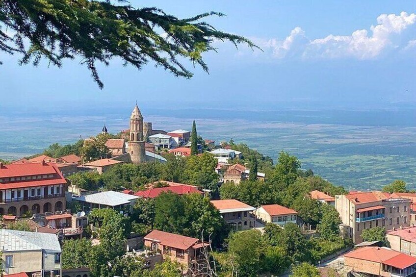 Wine Tour in Kakheti