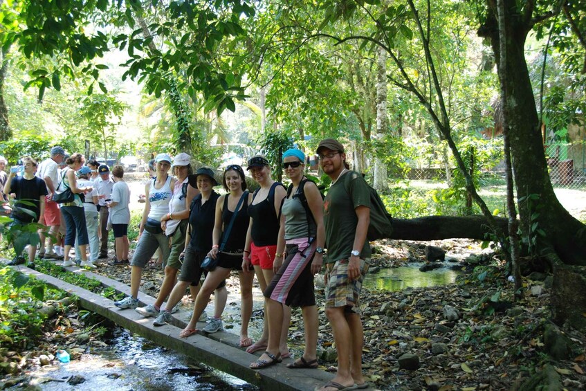 Picture 2 for Activity Agua Azul & Palenque Ruins: Full-Day Tour from San Cristobal