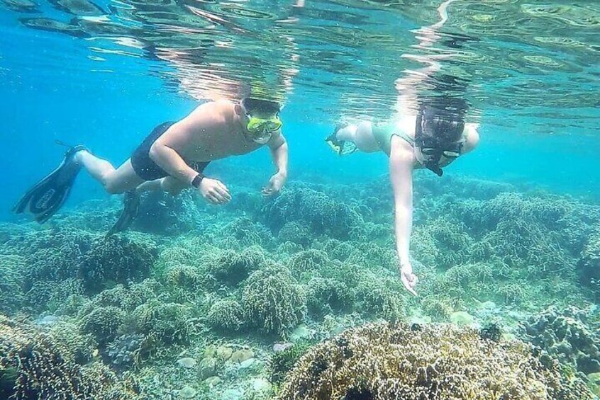 Gili Gede West Lombok Boat and Snorkeling Private Tour