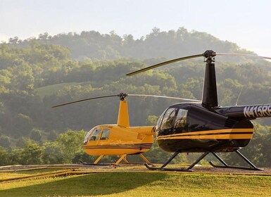 Pigeon Forge: French Broad River Helicopter Tour