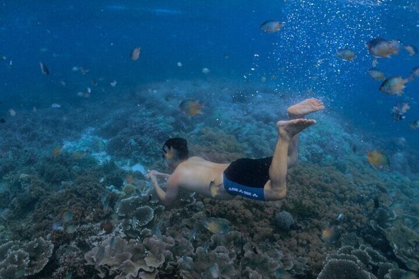 Private Snorkeling Trip in Pink Beach Lombok Island 