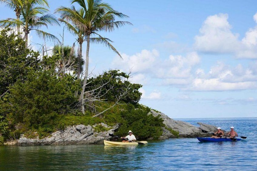 Bermuda Kayak Eco-Tour