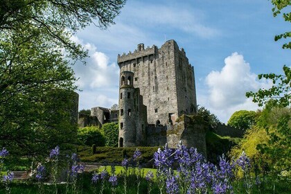 Blarney and Cork Private Day Tour