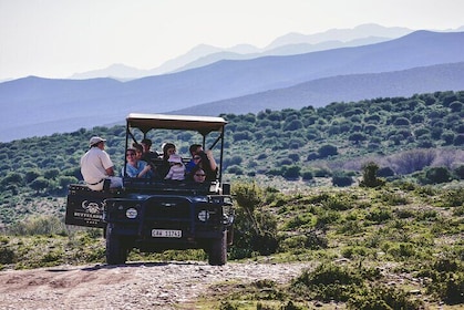 2 Day Small Group Garden Route Big 5 Safari Tour from Cape Town