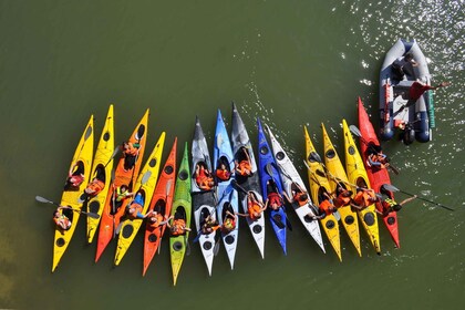 Seville: Guadalquivir River Kayak Tour or Kayak Rental