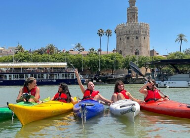 KayakTour or Rental+Premium Gear+QuickIntroCourse+Help