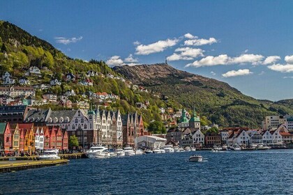 Exclusive Minibus Tour to Bergen’s Most Scenic Spots