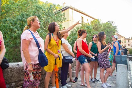 Granada: Geführter Spaziergang durch Albaicín und Sacromonte