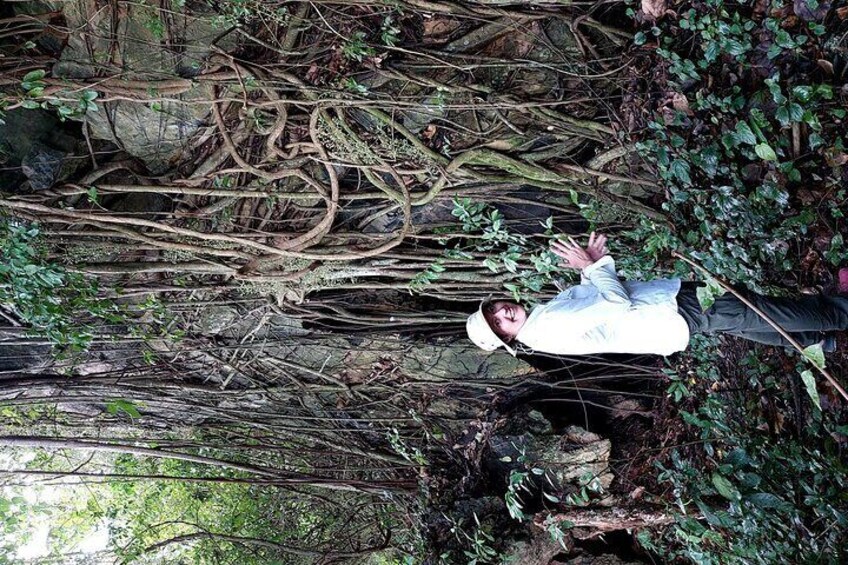 Nature