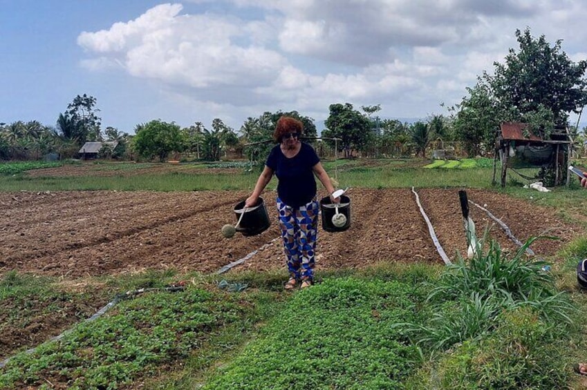 Vegetables garden in the community 