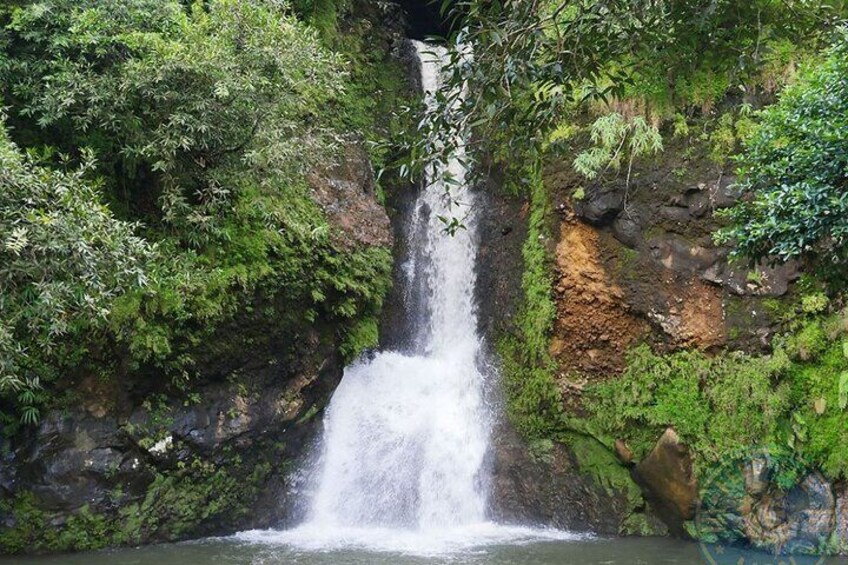 Full Day at La Vallee Des Couleurs South Mauritius