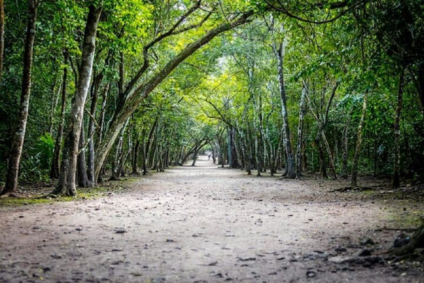 Coba Maya Ruins Tour