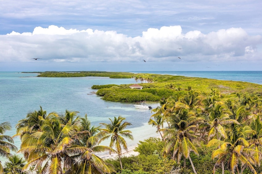 Isla Contoy Experience 