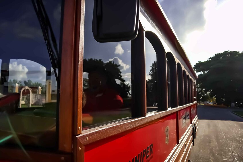 Picture 2 for Activity Cozumel: City Trolley Tour